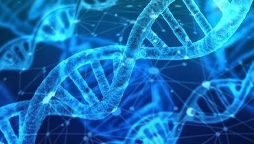 <span>Diagnostica e genetica forense</span>Il corso